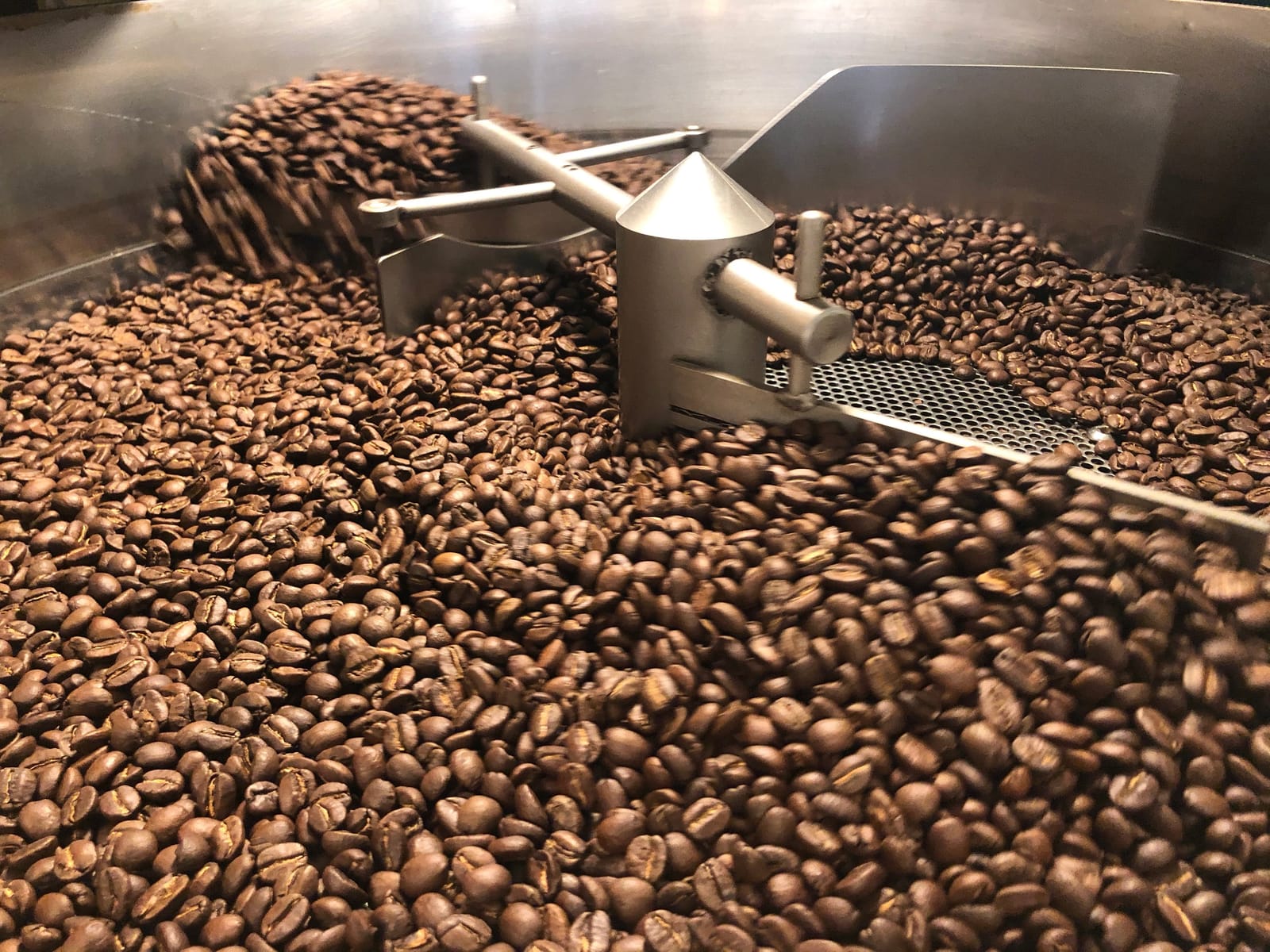 Zanzibar's Coffee Adventure photo 2