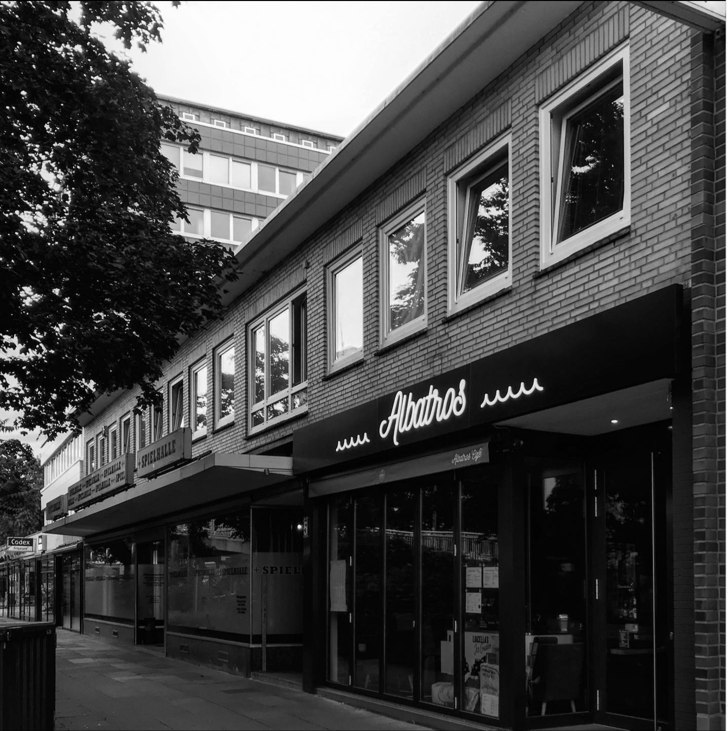 Albatros Café