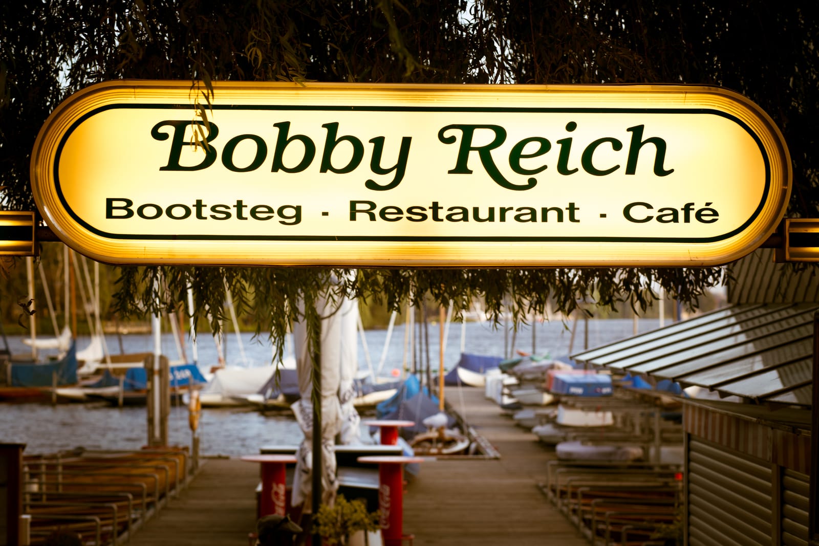 Bobby Reich photo 2