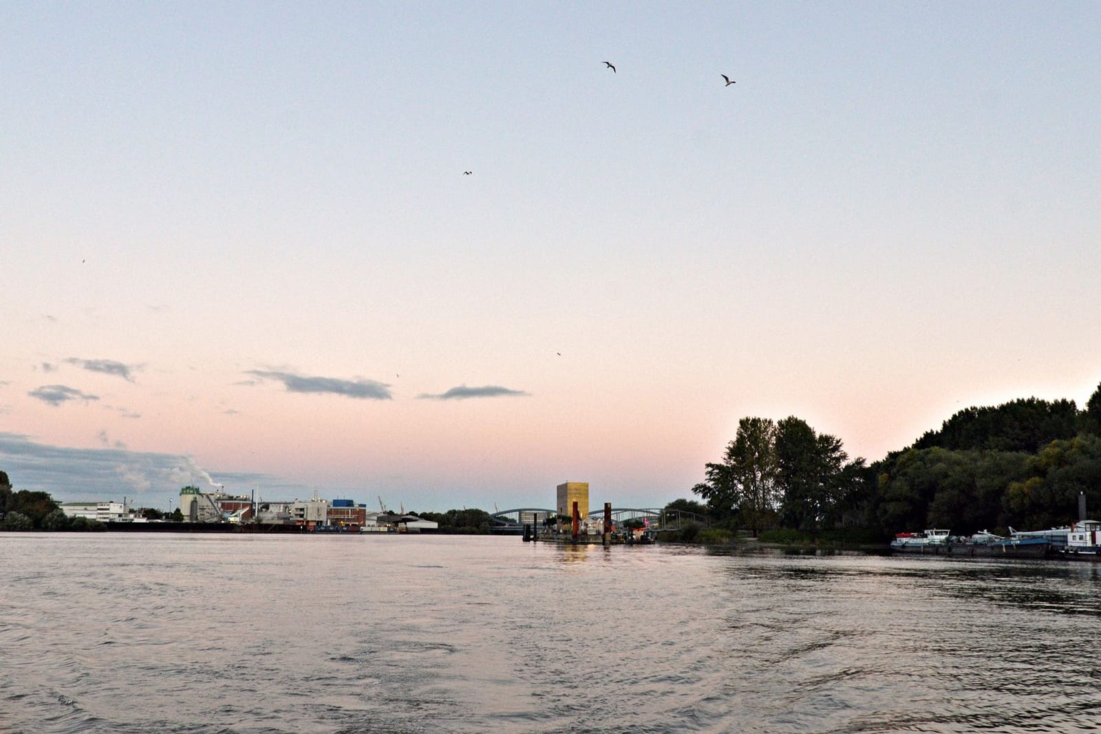 Entenwerder1 photo 9