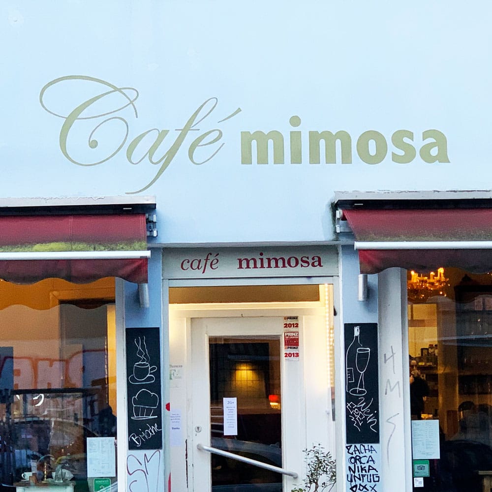 Mimosa photo 3