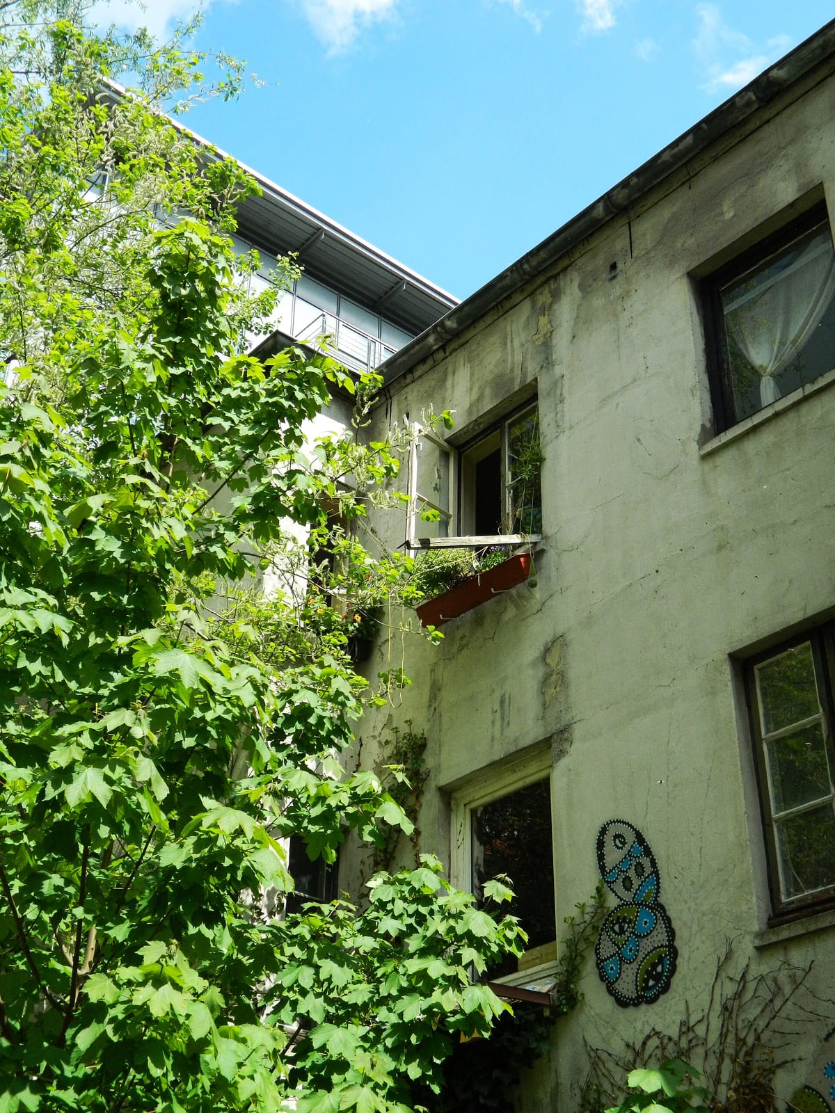Nasch photo 4