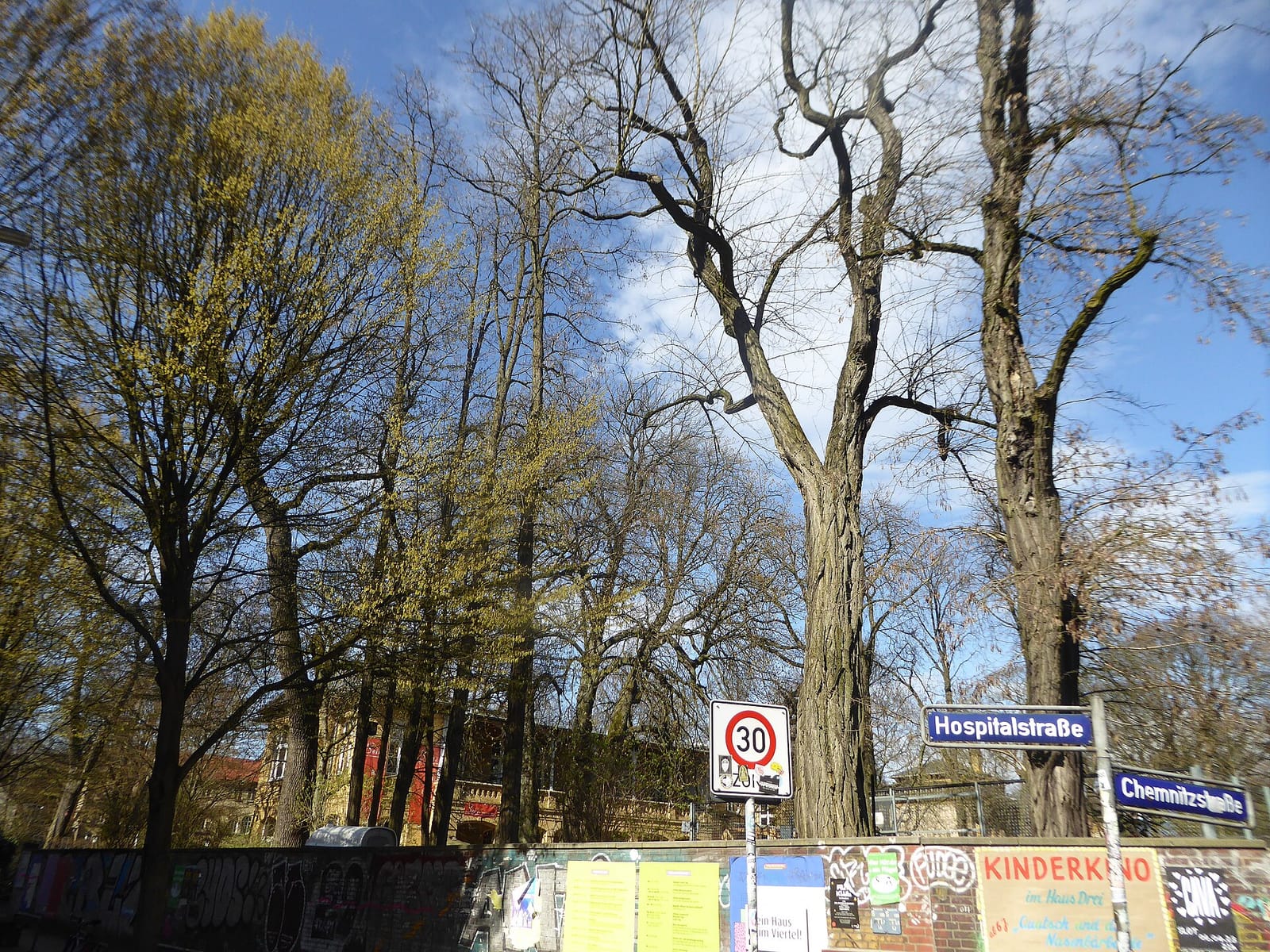 Sein photo 2
