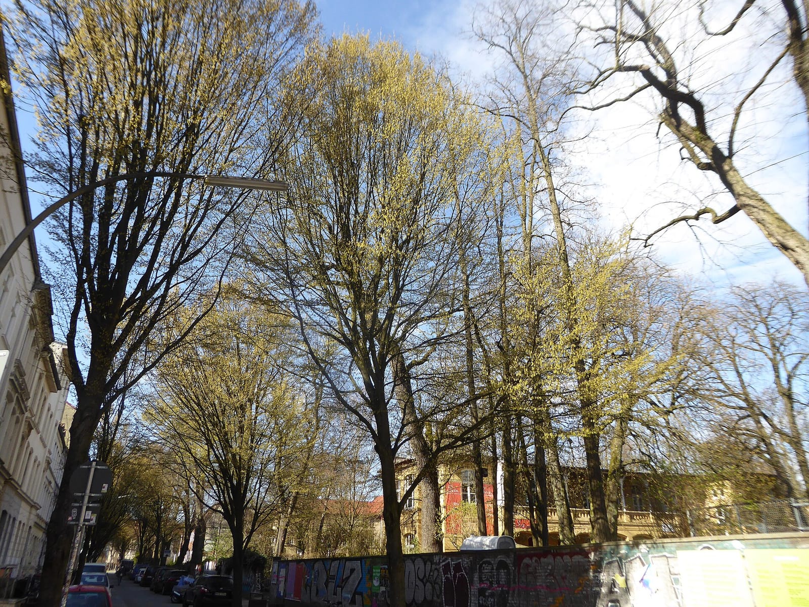 Sein photo 3