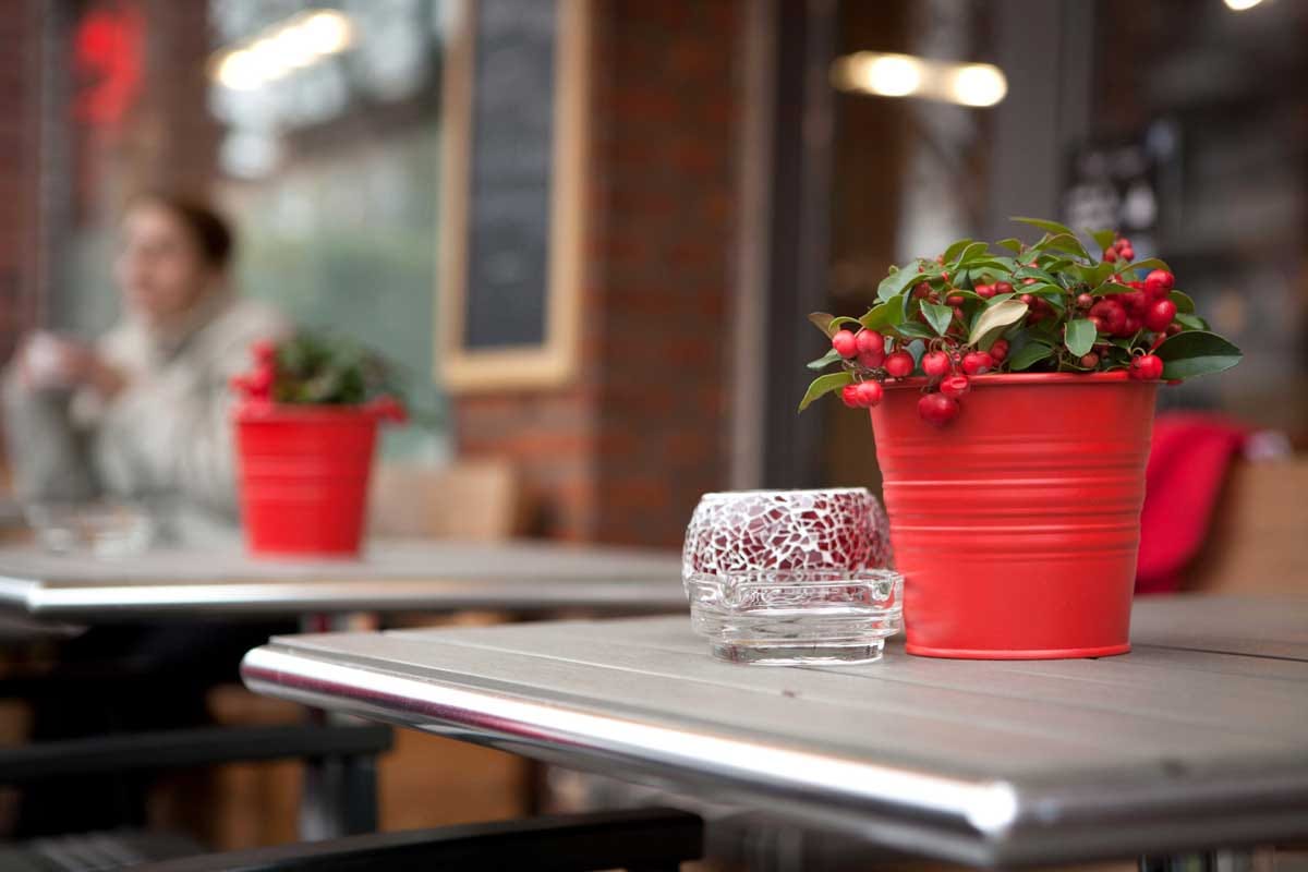 Café Auszeit photo 4
