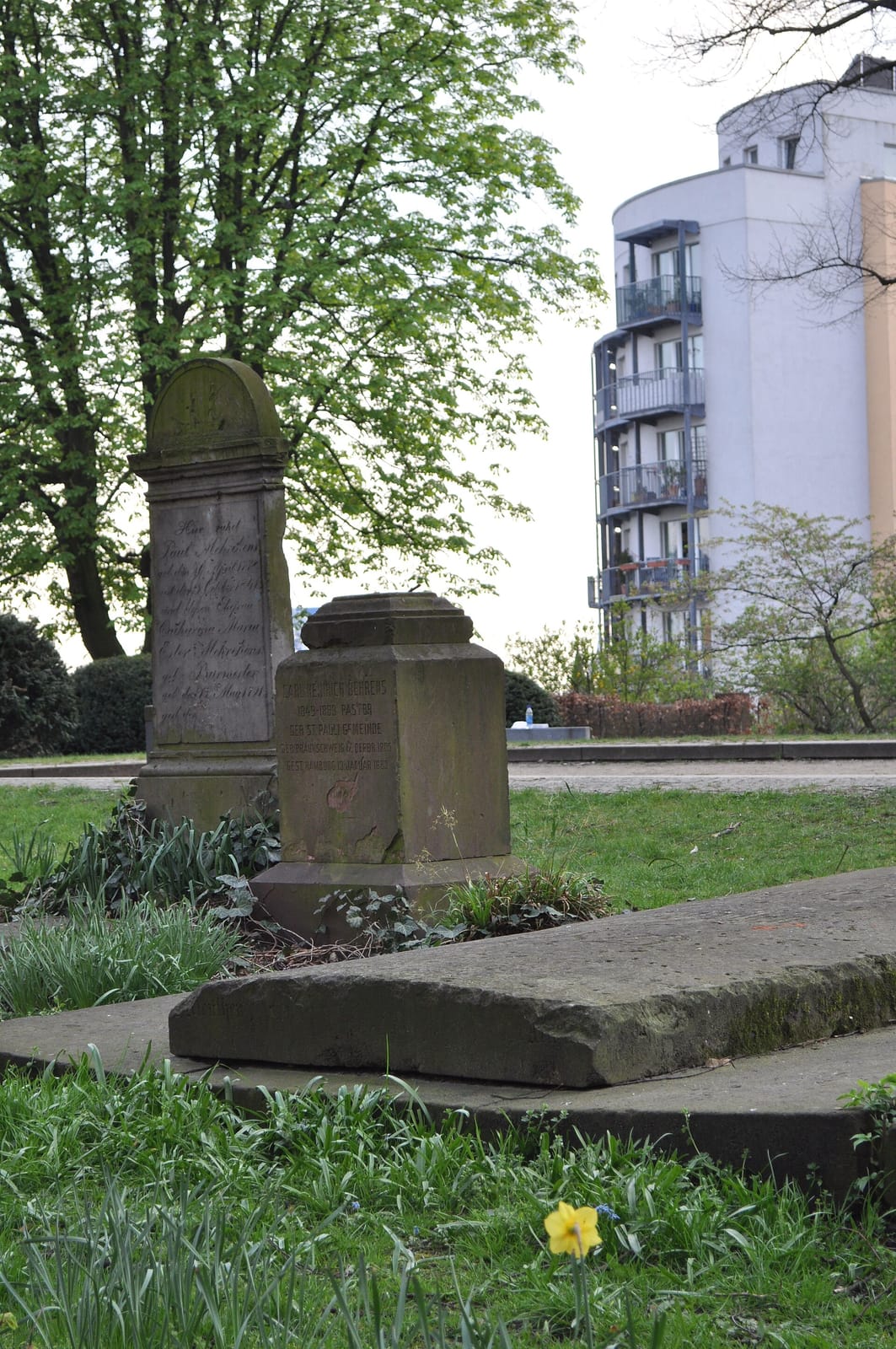 St. Pauli Nixe photo 3