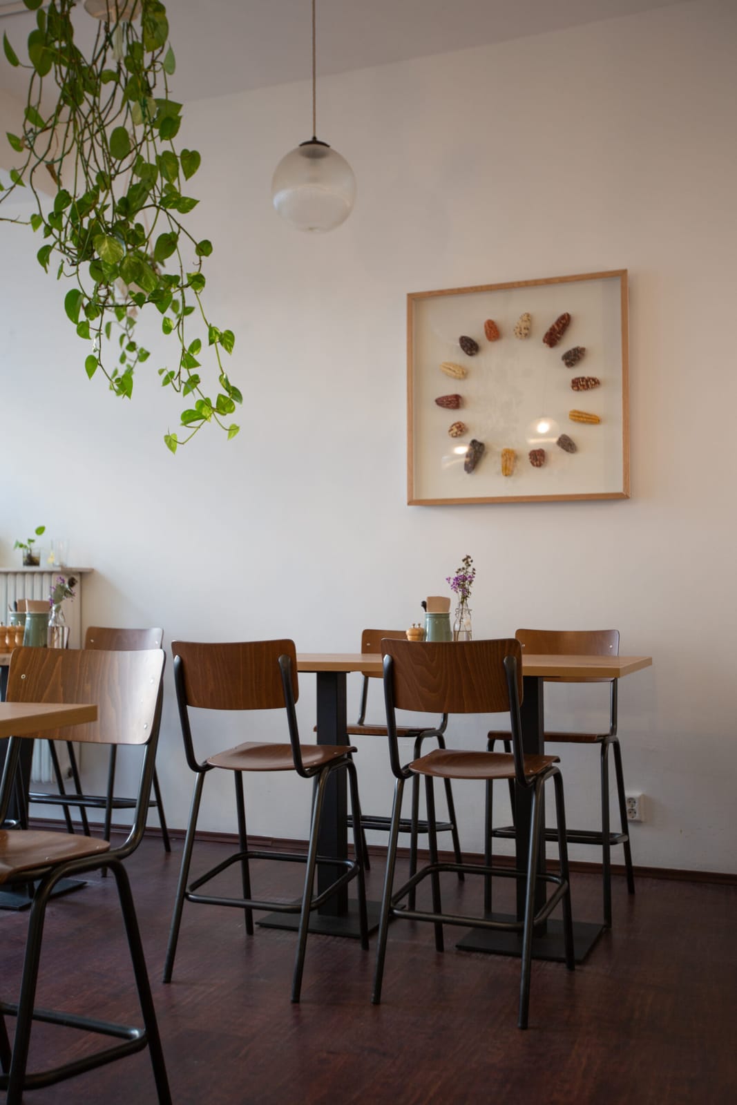 Café Mama Silvia photo 4