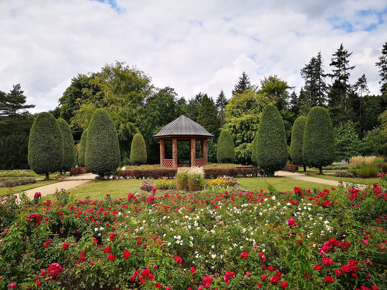 Park Café am Lutherpark
