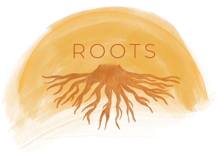 Café ROOTS photo 2