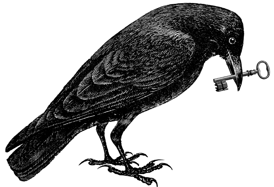 La Bête Noire photo 2