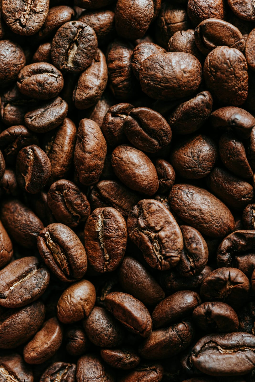 Cafeto Rösterei und Café
