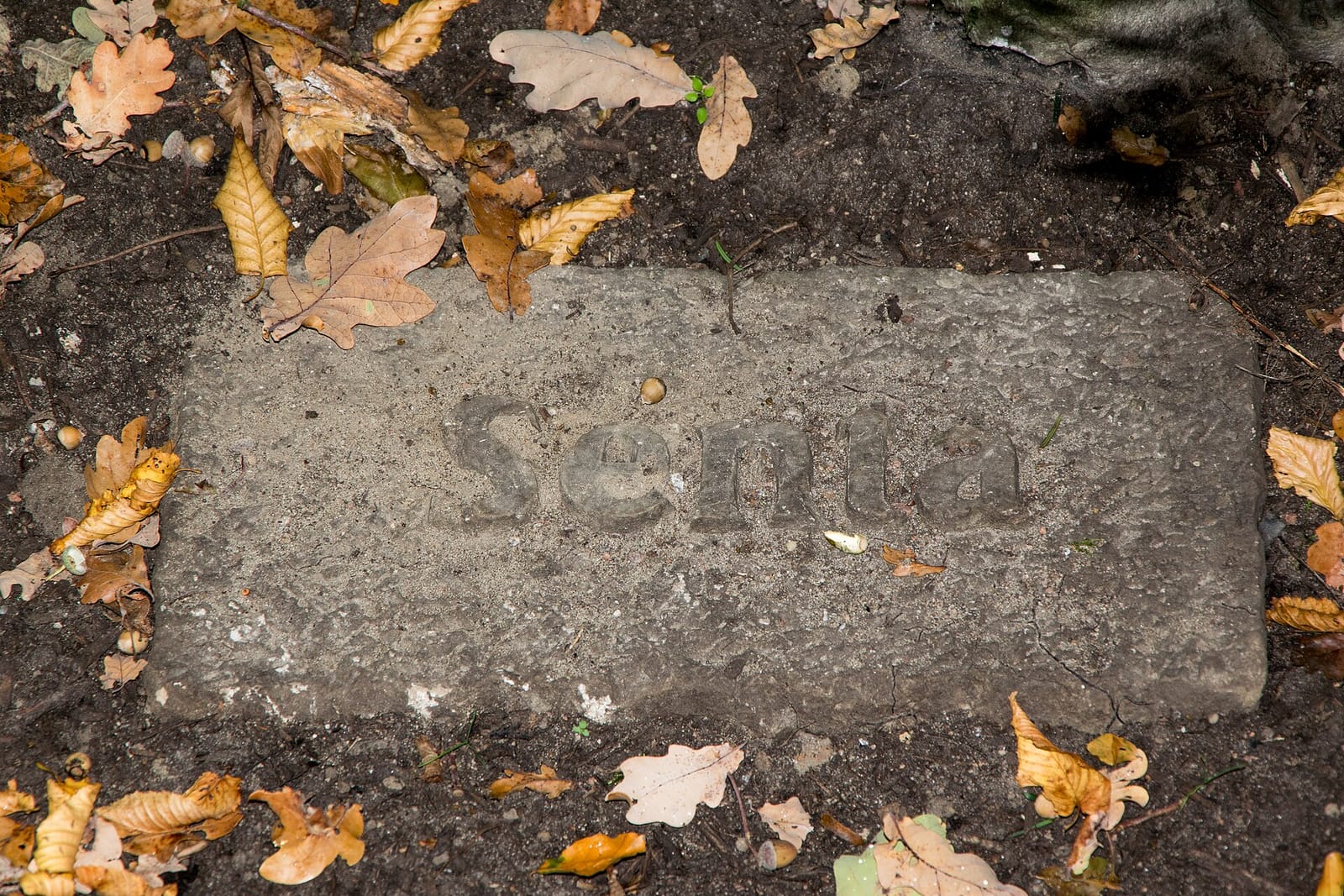 Die Villa