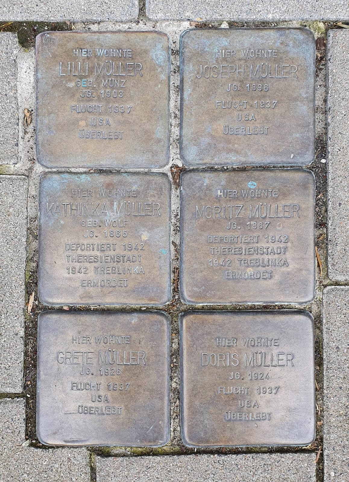 EisBegehrt photo 4