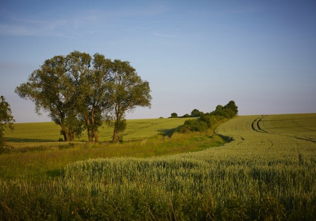 Schwälmer Brotladen photo 2