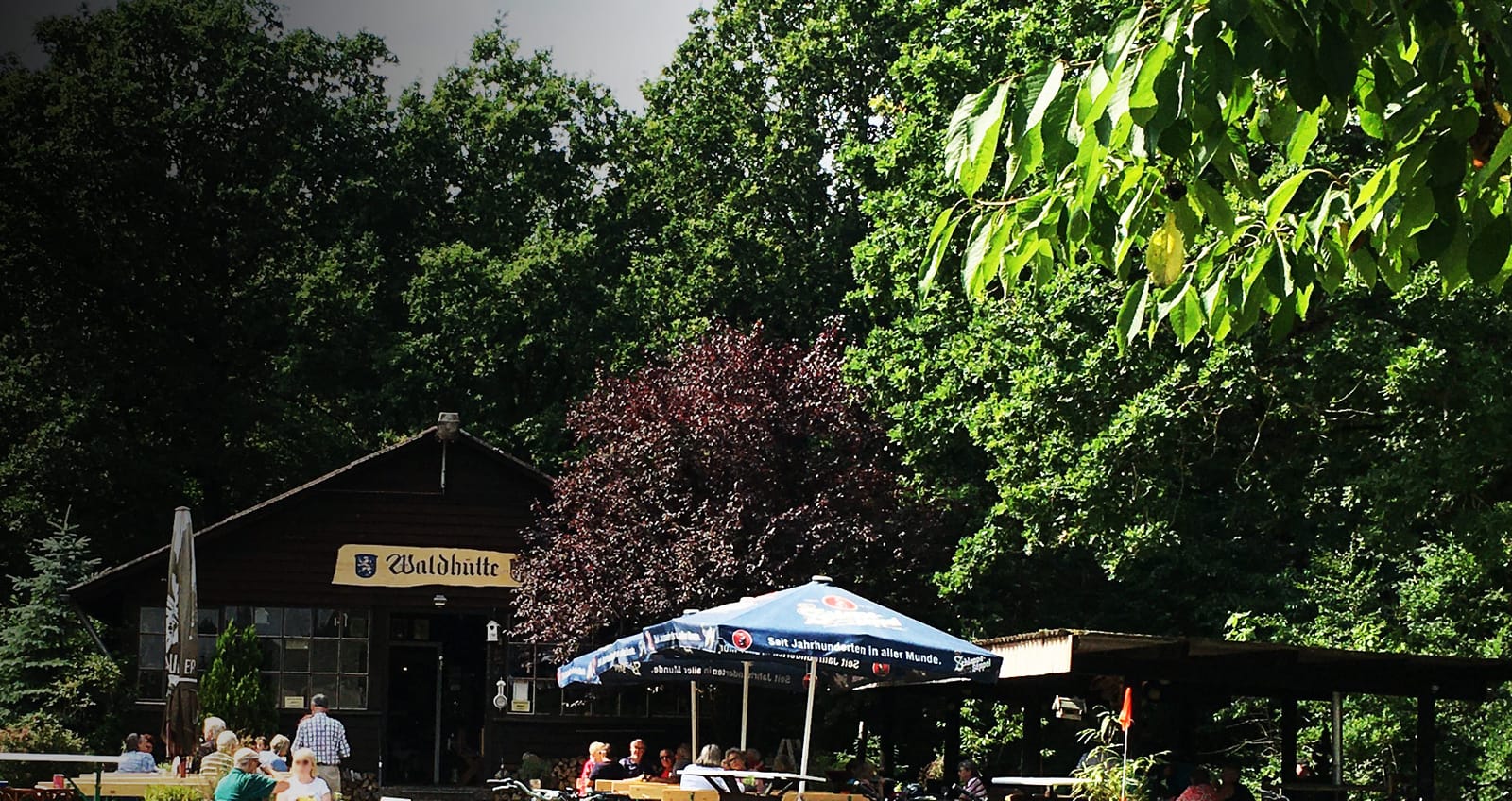 Waldcafé Rapp photo 5