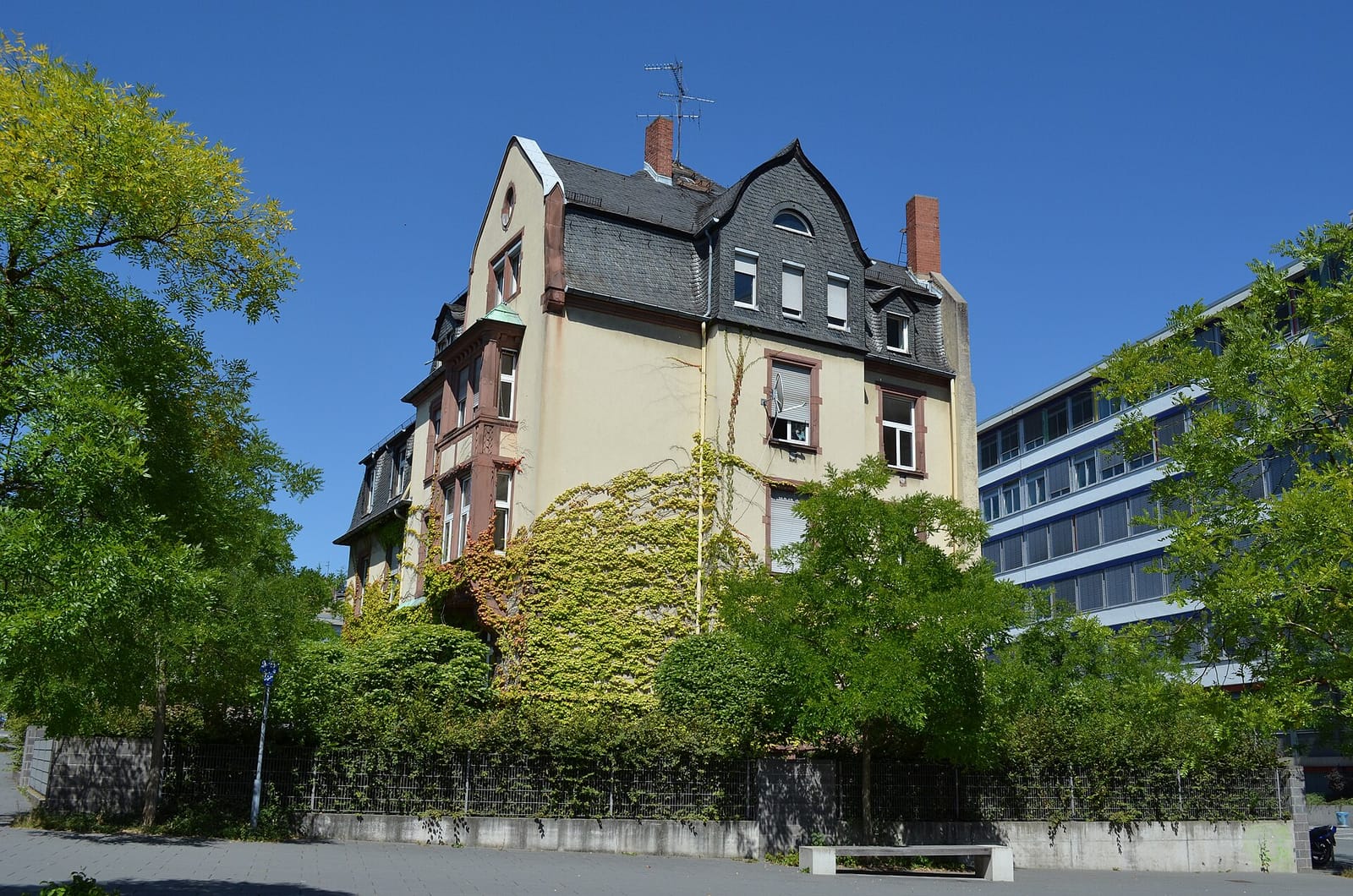 Café Kurzschlusz photo 2