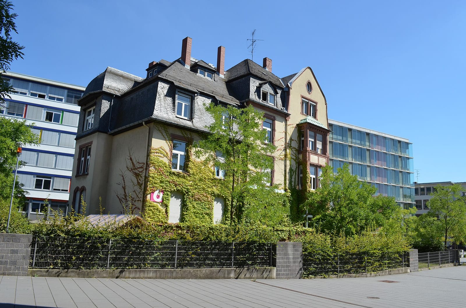 Café Kurzschlusz photo 3