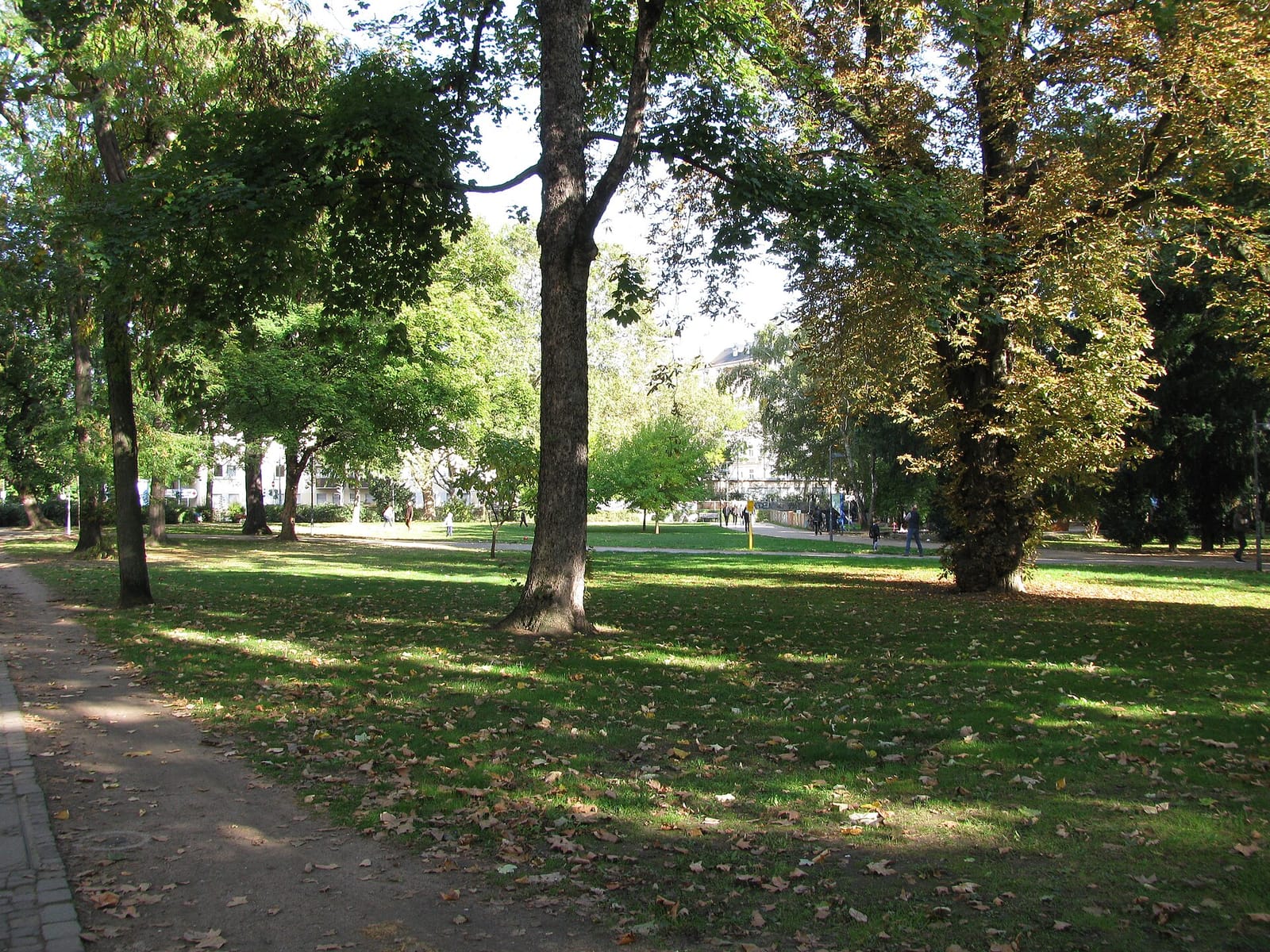feinfrankfurt photo 4