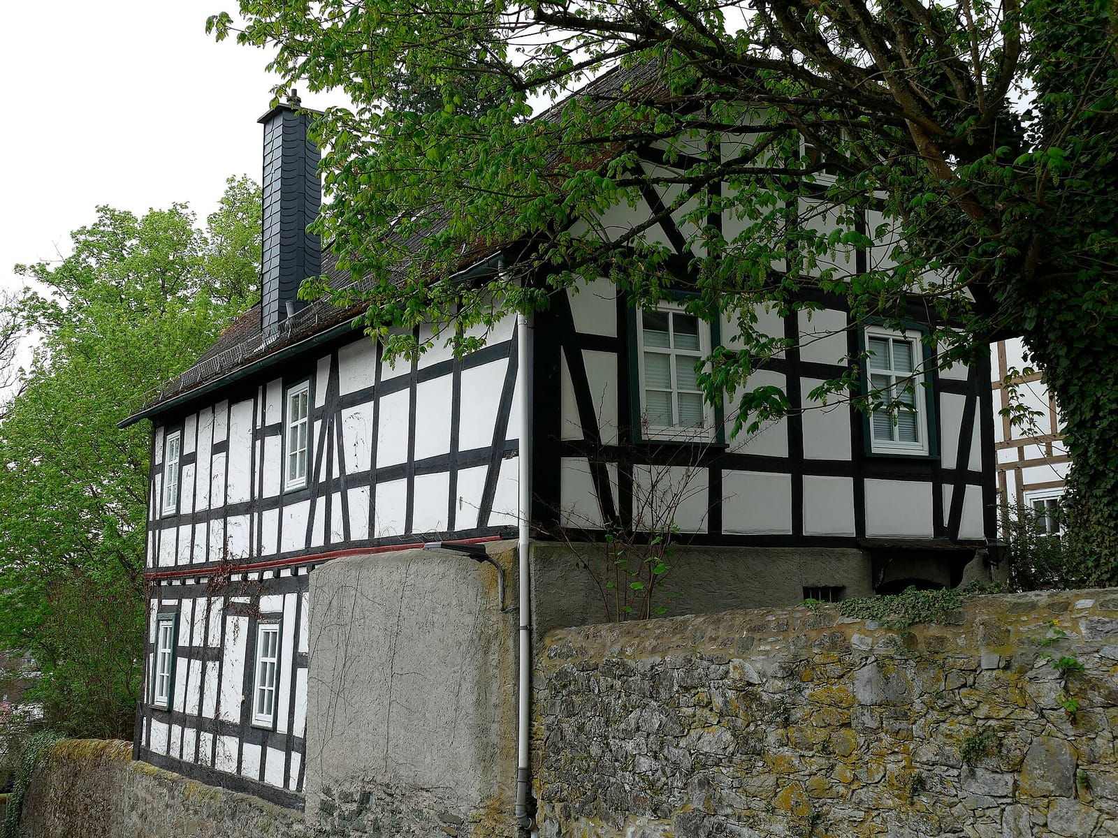 Café Vogel photo 2