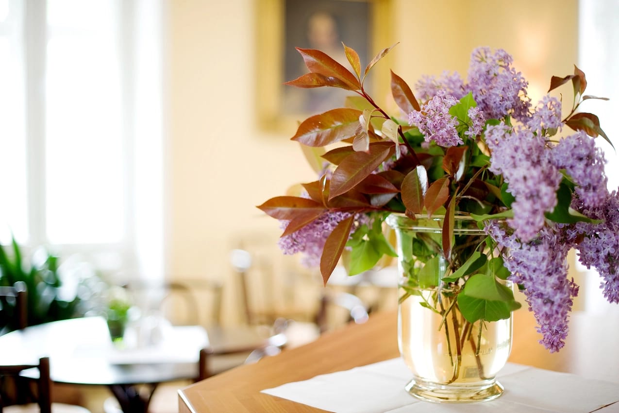 Café & Shop im Schloss photo 2