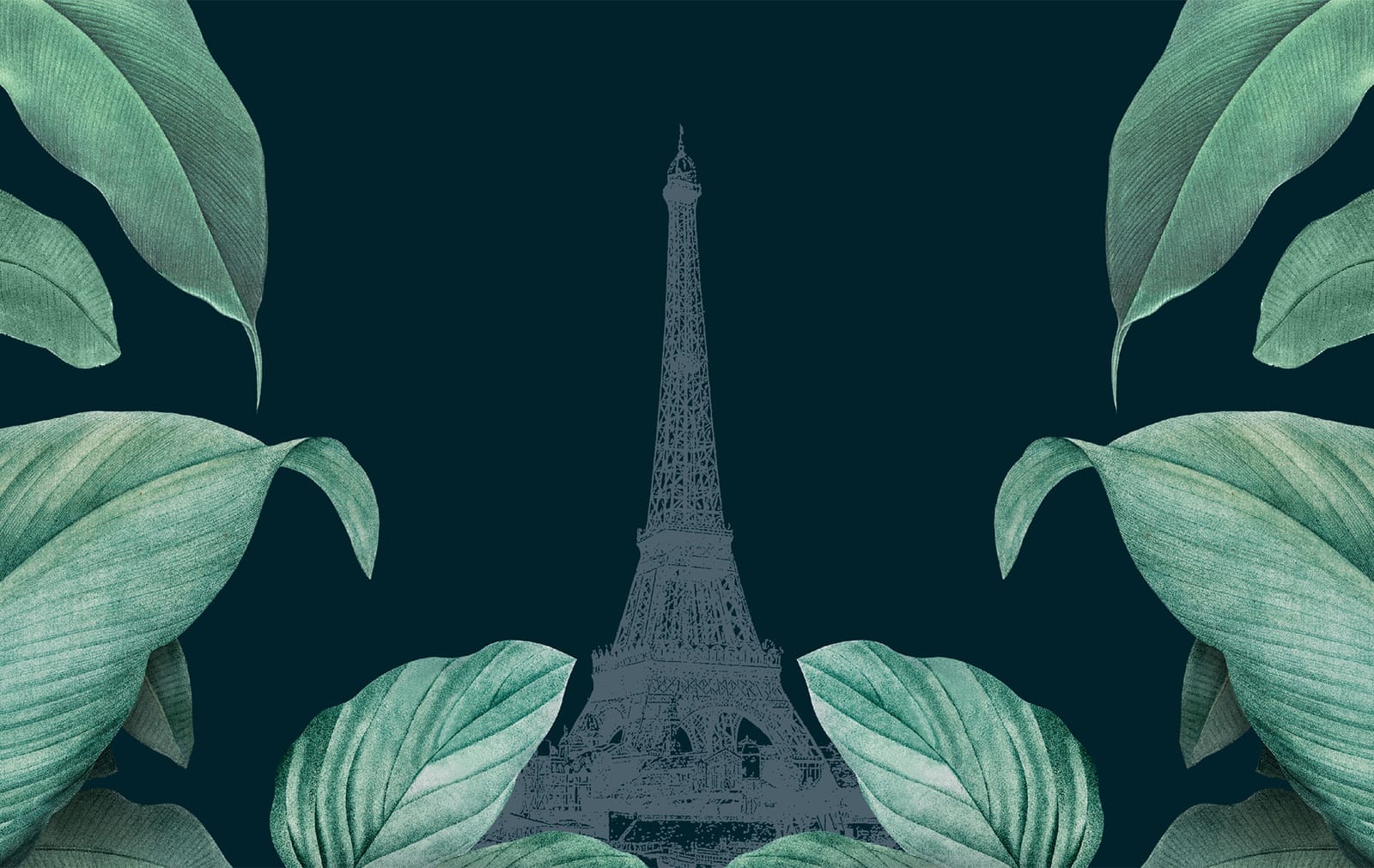 O' Petit Paris photo 2