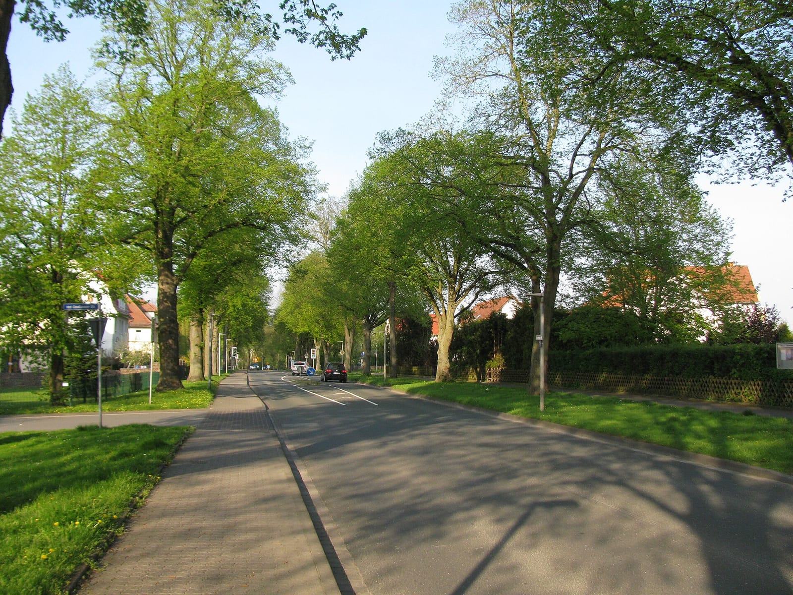 Café Gesundbrunnen photo 3