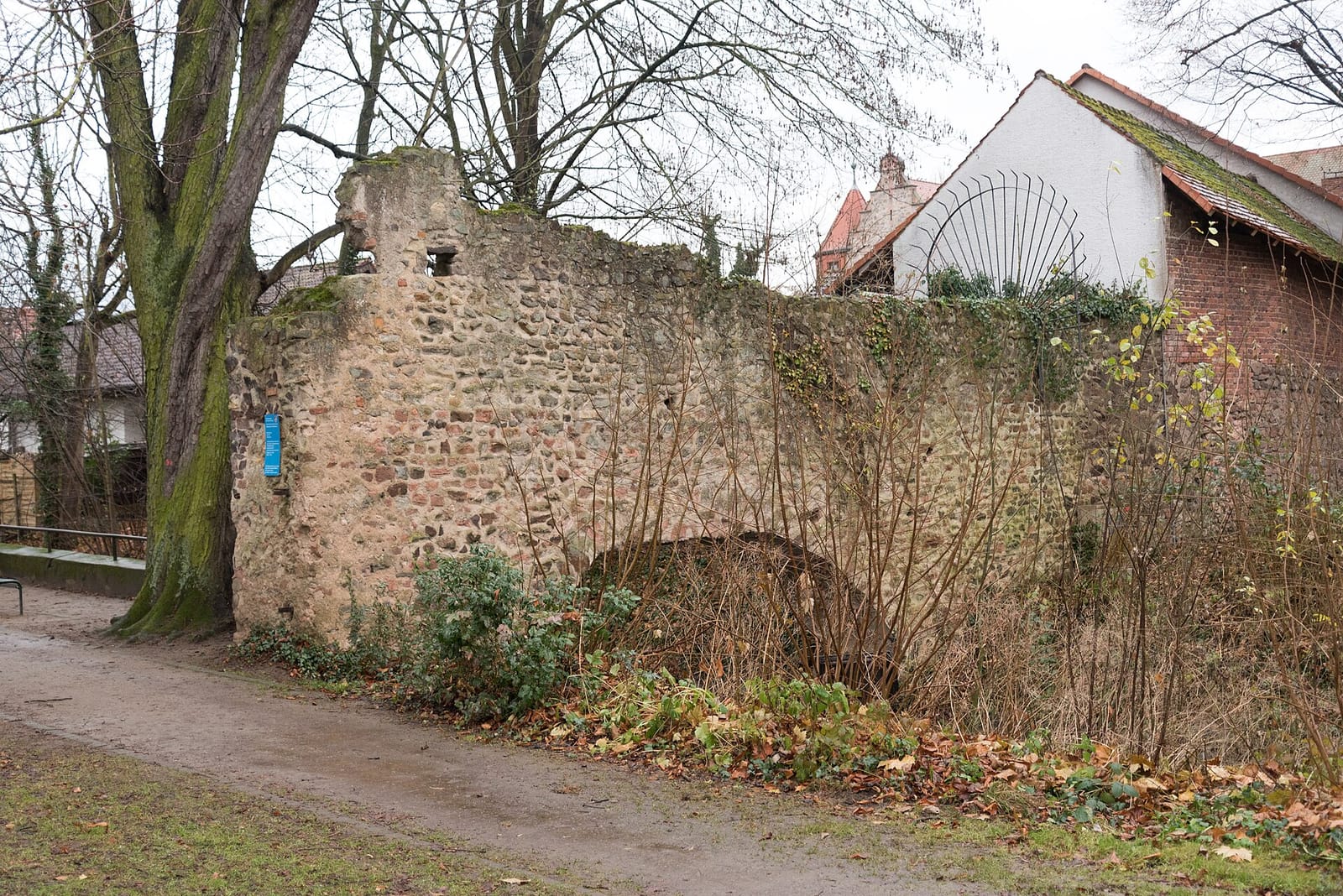 Cafe Schloss Fechenbach photo 2