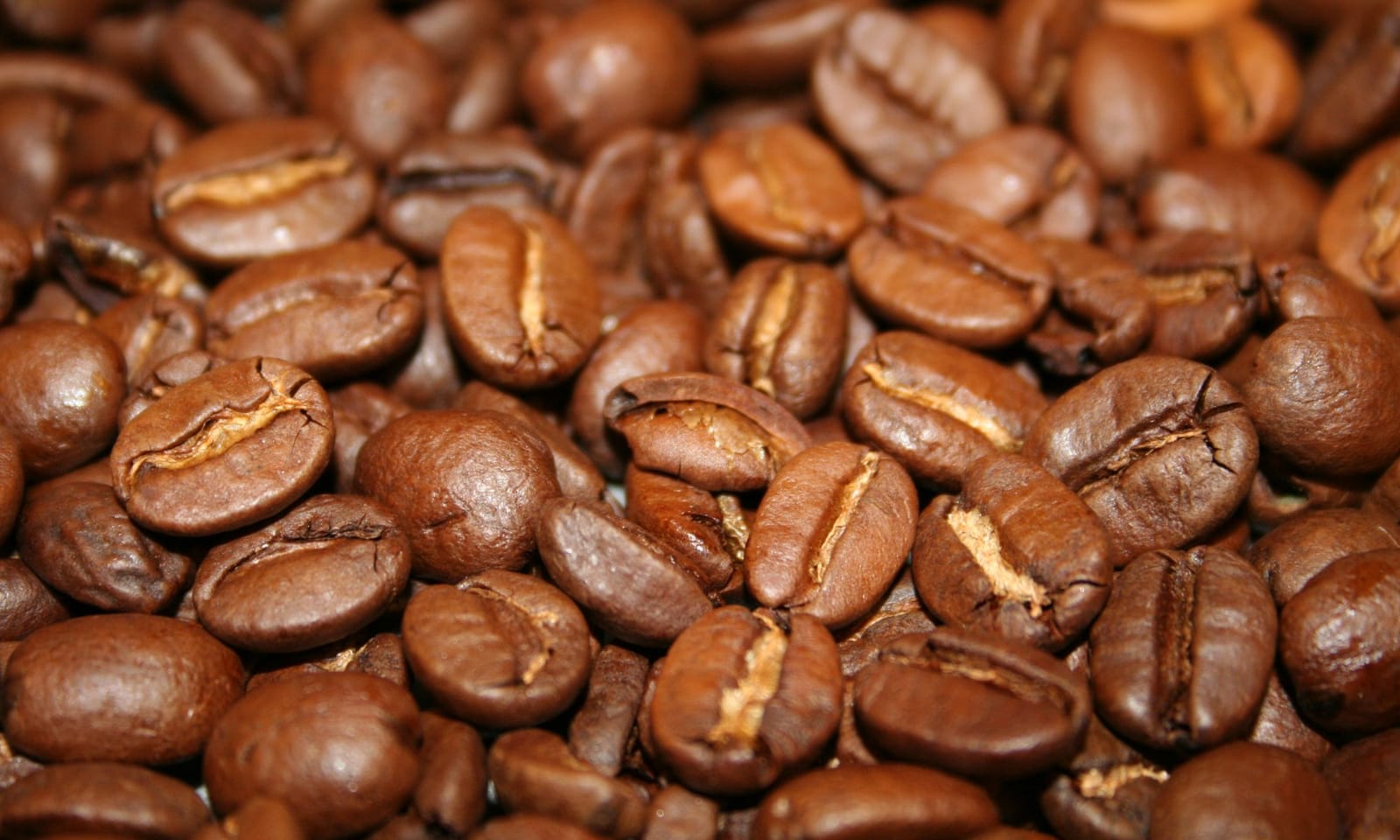 Kaffeerösterei Hansen