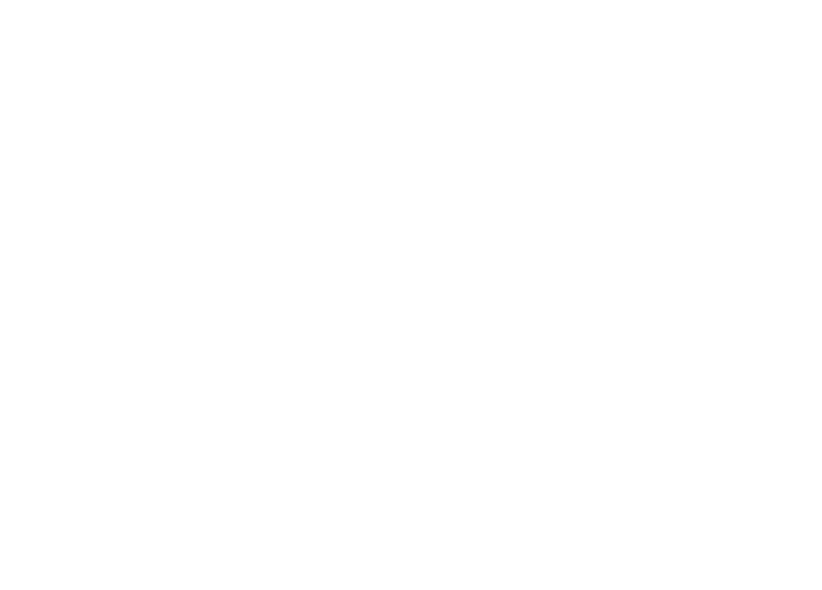 bluebee photo 2