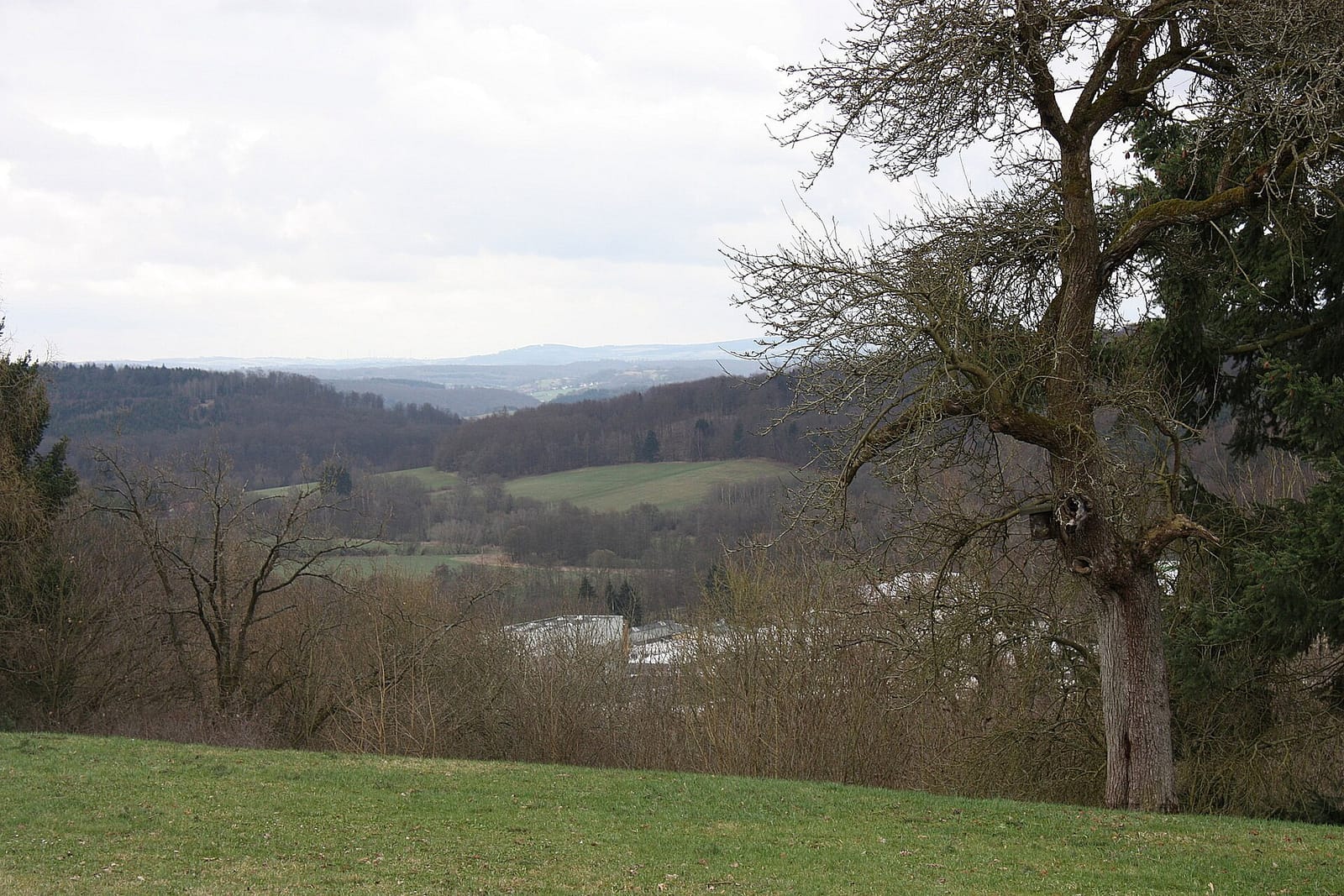 Schlosscafé photo 2
