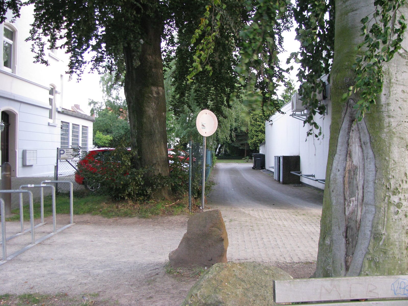 Elefant am Nil photo 3