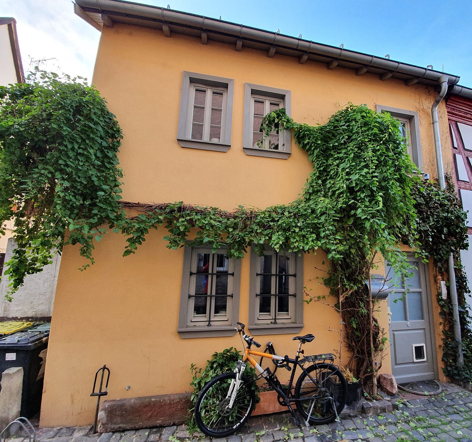 Frau Grau photo 4