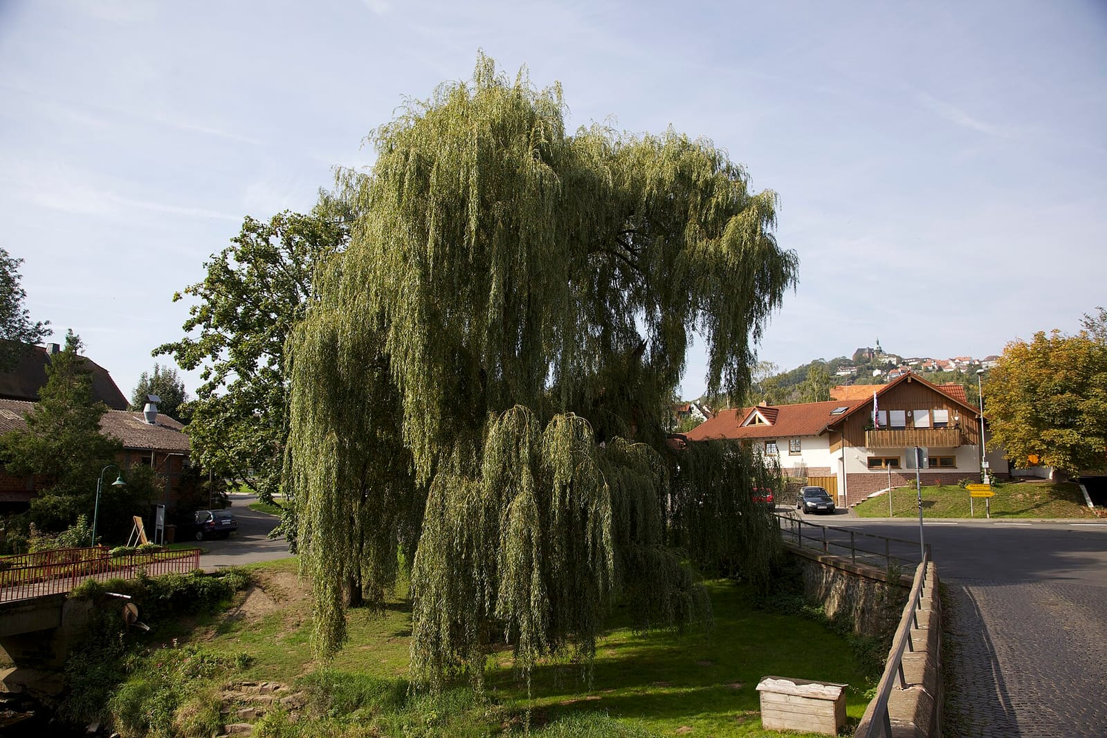 Brücker Mühle photo 4