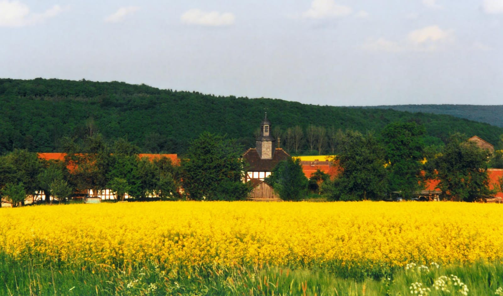 DeKene Rösterei in Kehna photo 2