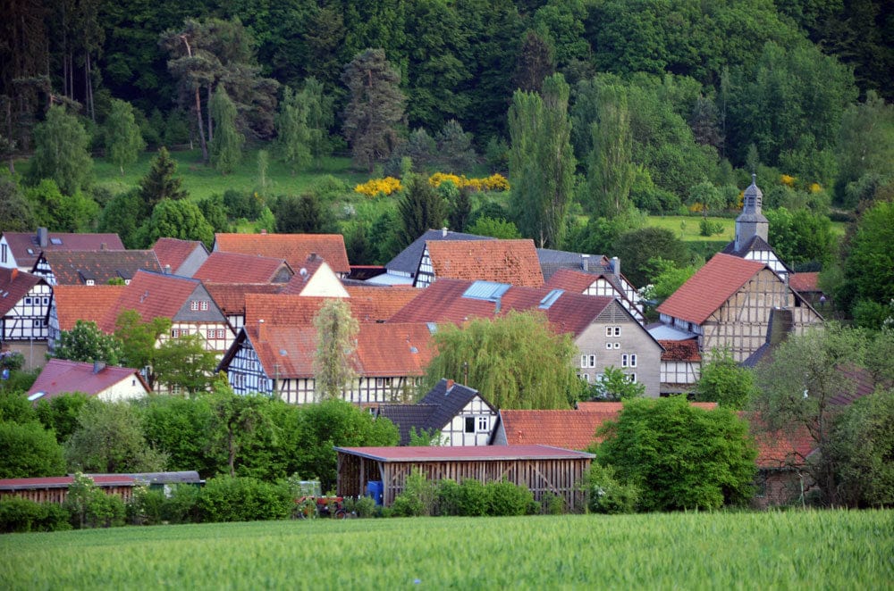 DeKene Rösterei in Kehna photo 3