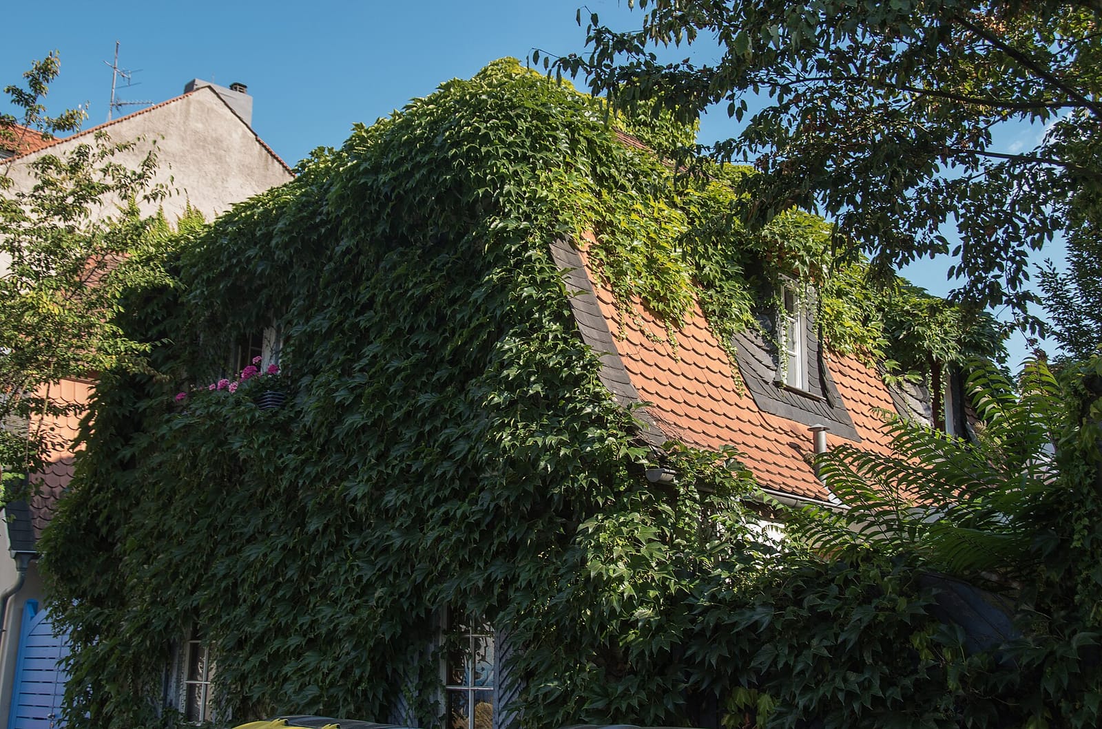 Schuknecht