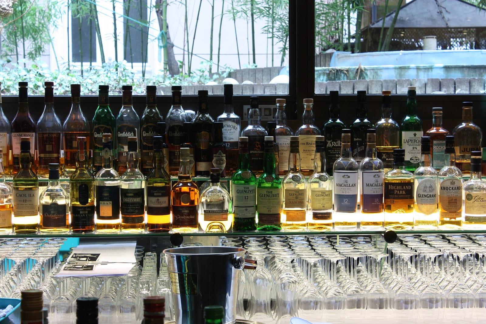 Café Blum photo 6