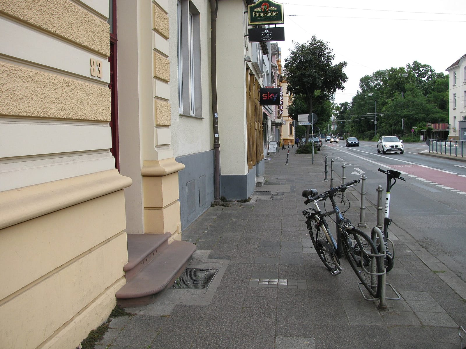 buna photo 11