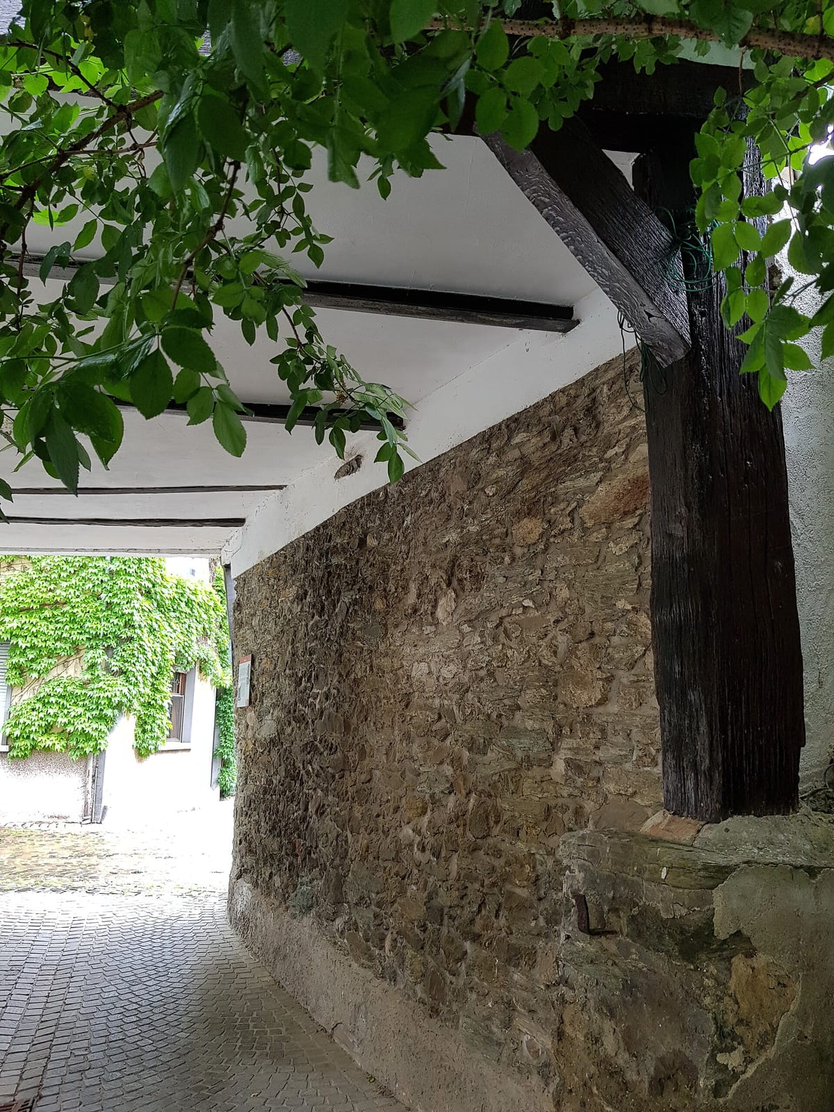 Burgcafé photo 2