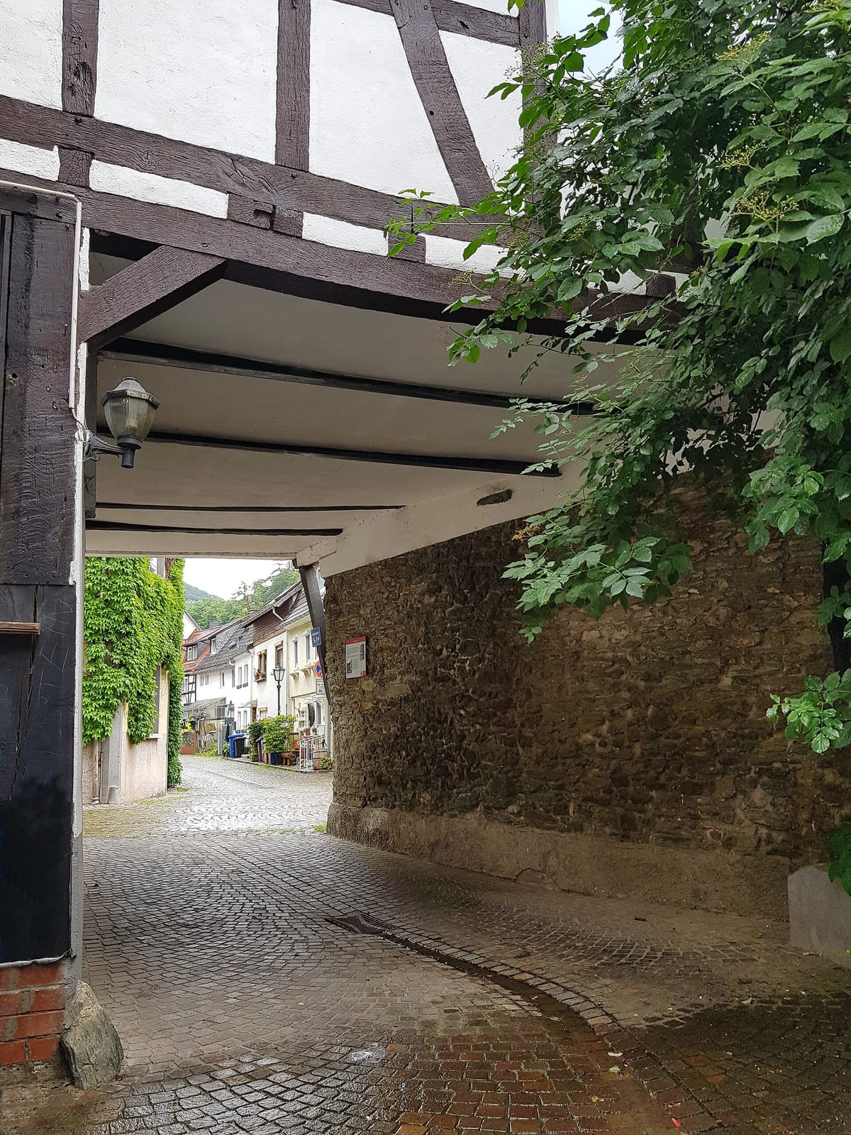 Burgcafé photo 4