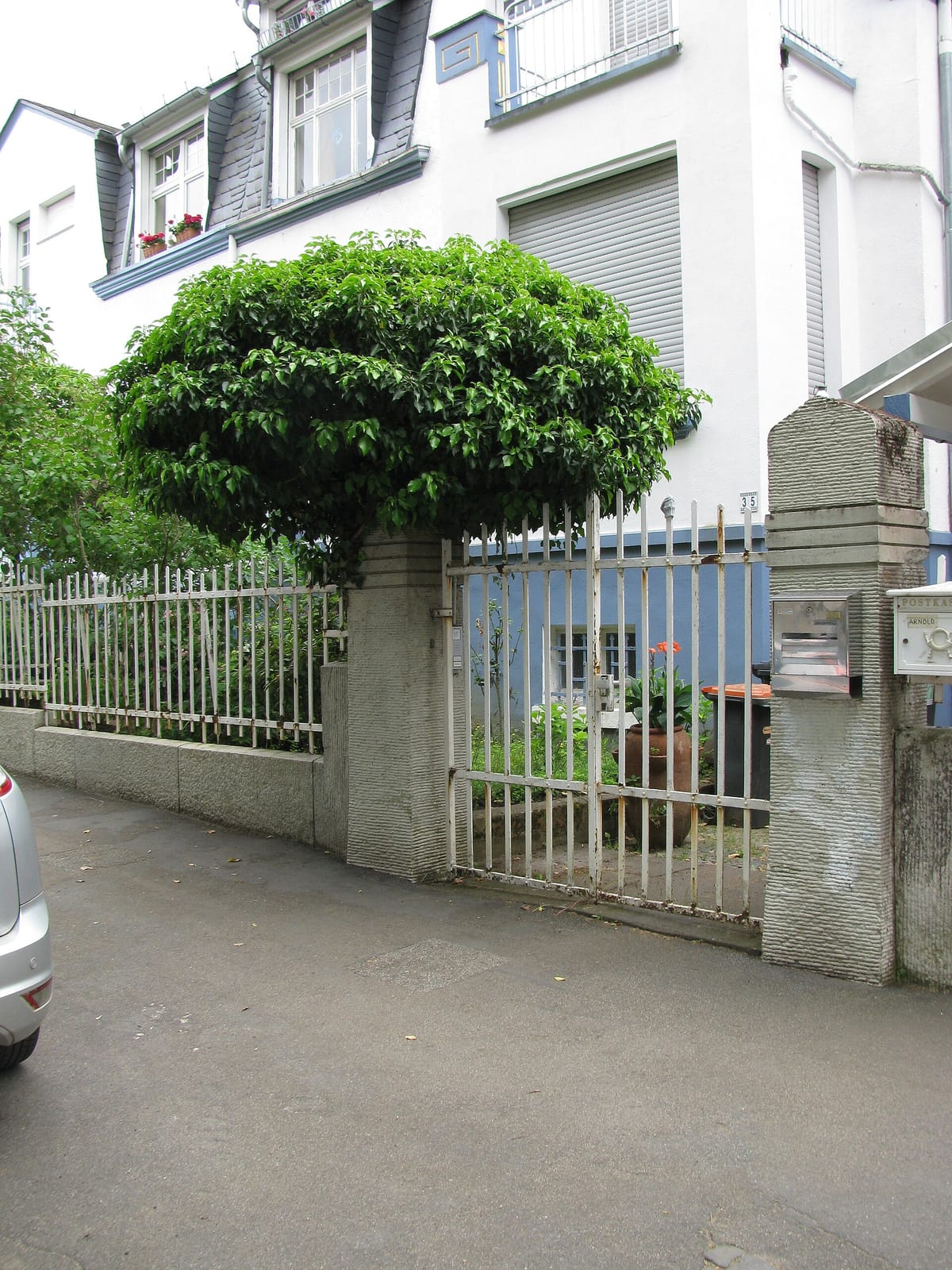 Thildas Eis photo 3