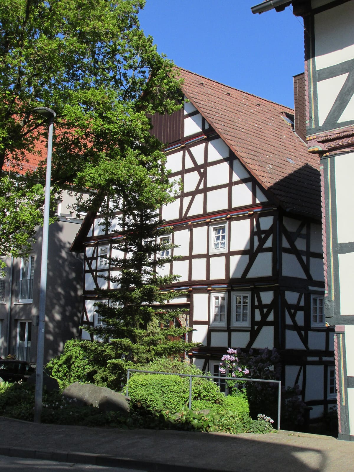 Altstadt-Cafe Tent photo 4