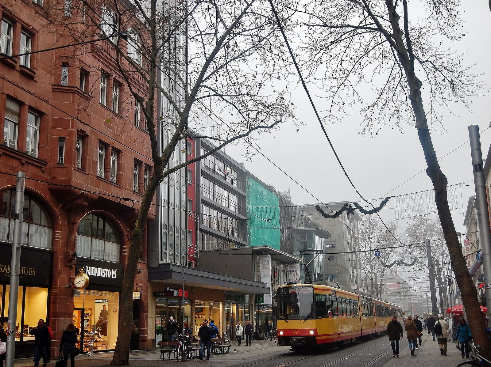 Ludwig's photo 3