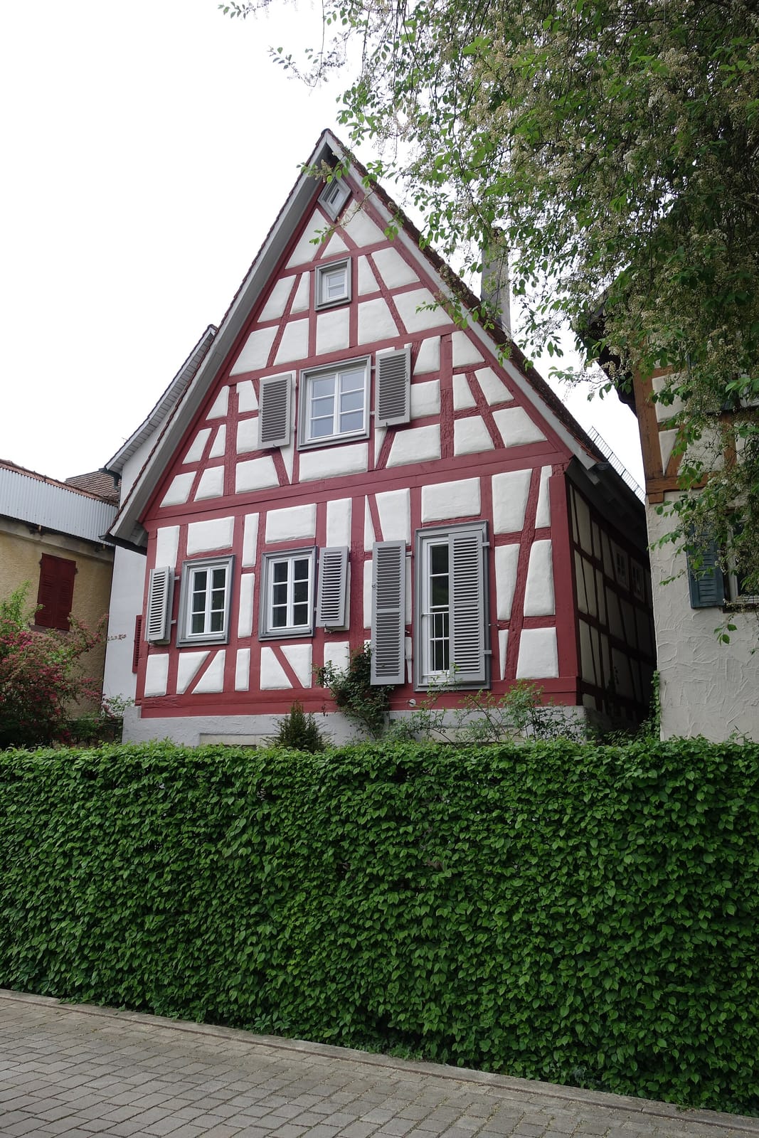 Rathaus-Cafe photo 2
