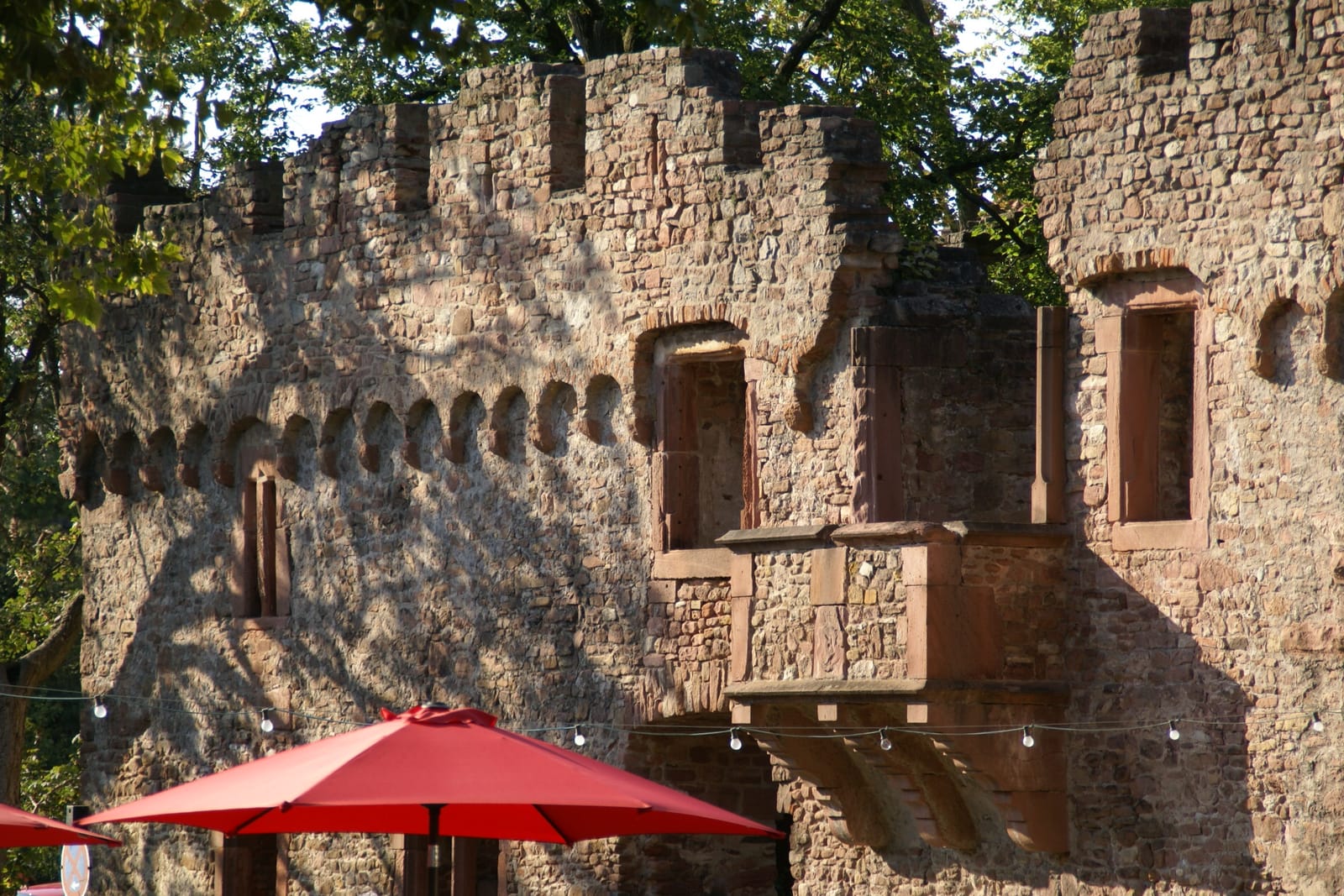 Café Tiefburg photo 4