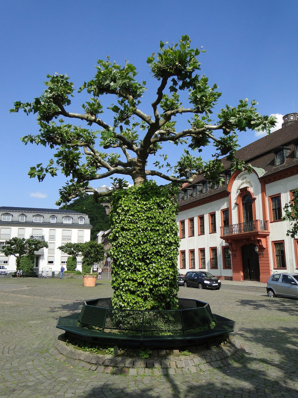 Gundel photo 4