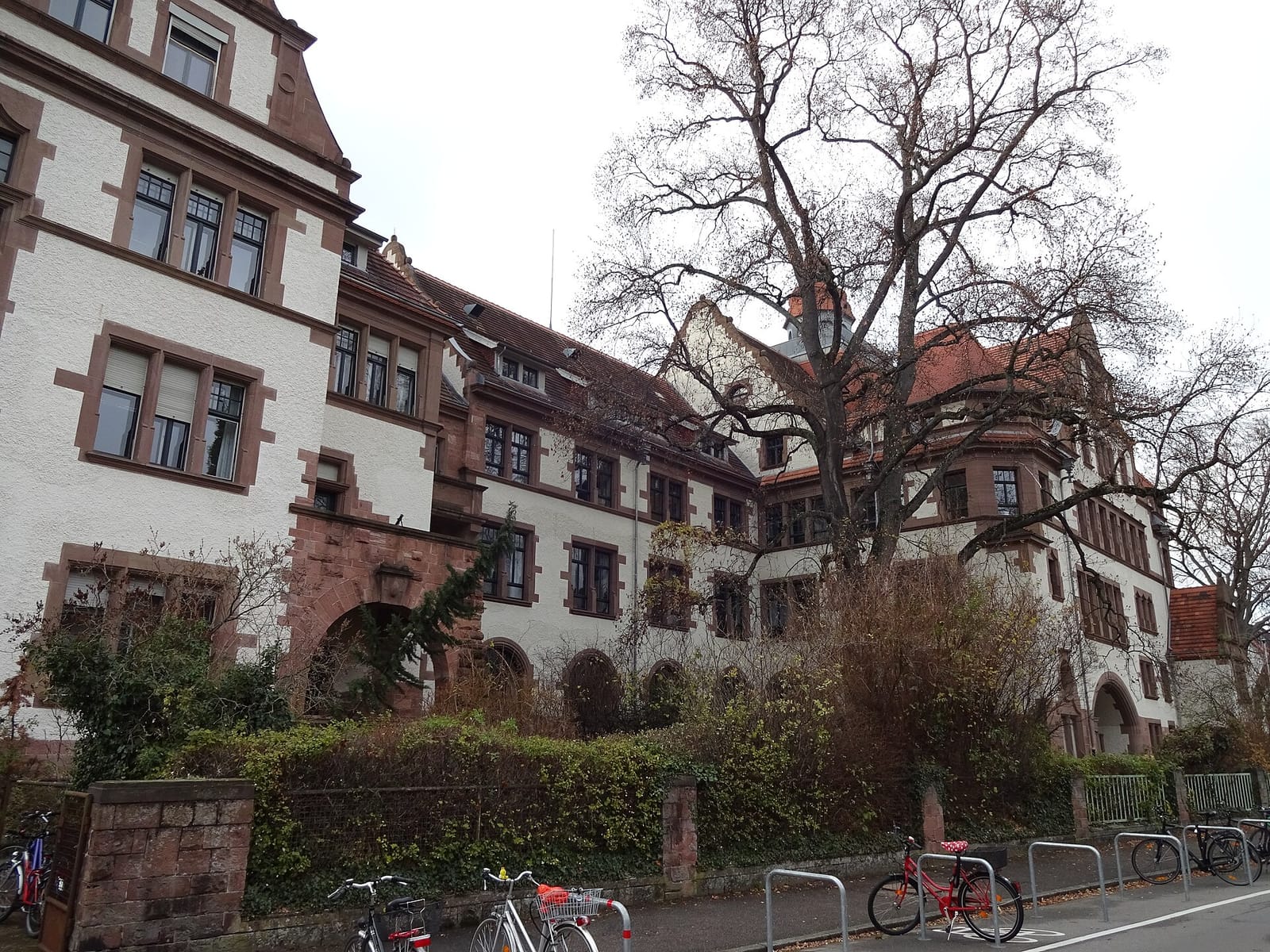 Keplers (Café Alte PH) photo 2