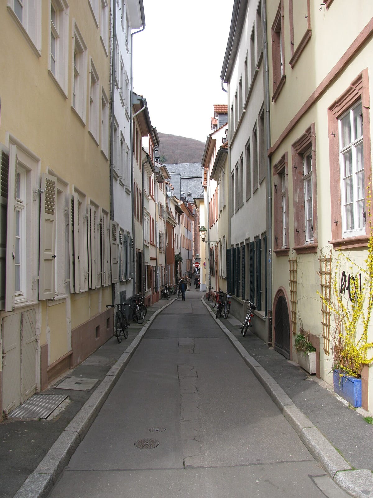 Panno photo 5
