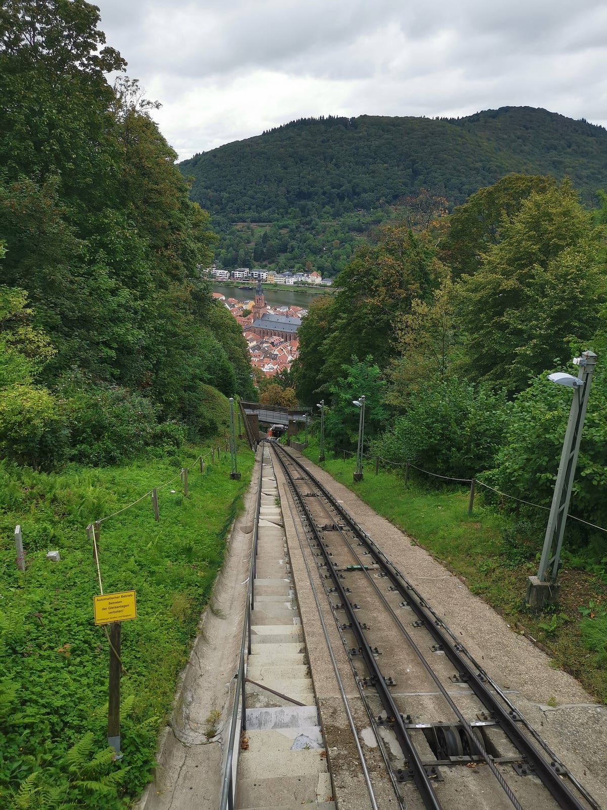 Panno photo 4