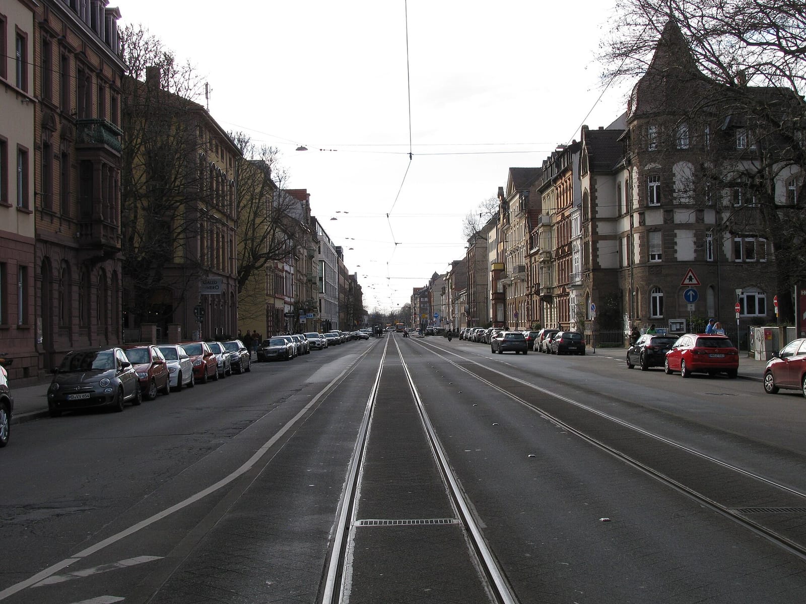 Riegler photo 3